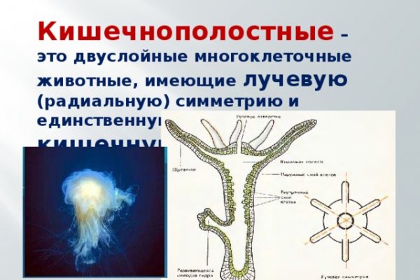 Что такое кракен в даркнете