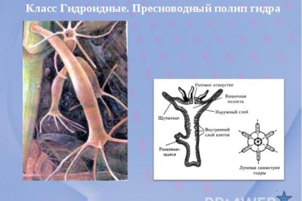 Как зарегистрироваться в кракен в россии